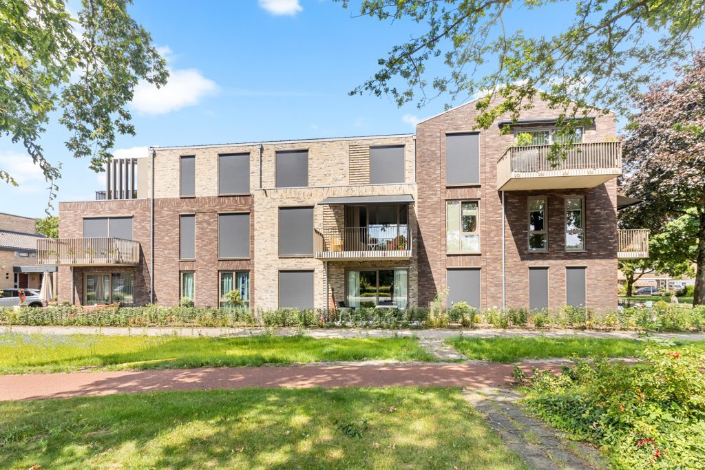 klein web - De Wingerd Wierden - deel 1